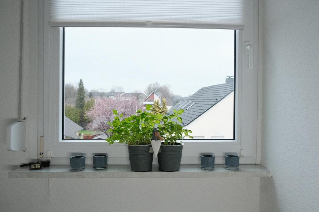 Ferienwohnung Bergischer Panoramasteig 拉德福尔姆瓦尔德 外观 照片